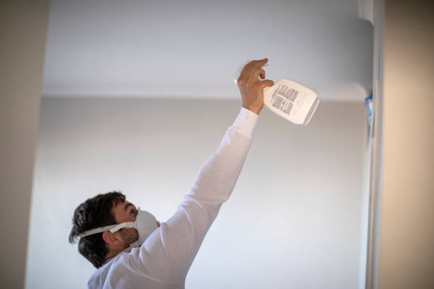 Best Kitchen Mold Remediation in Rancho Cumonga, CA