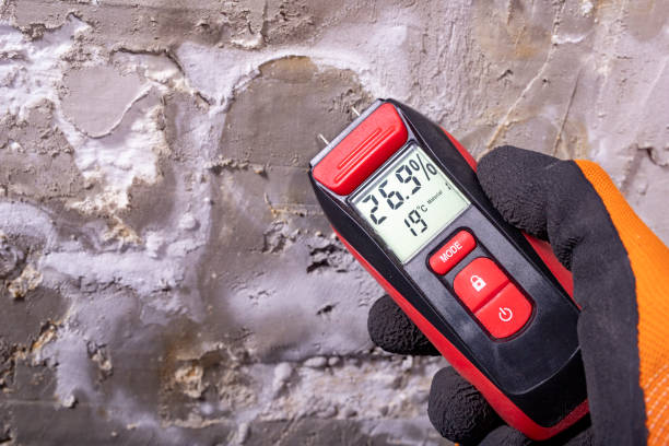 Best Commercial Mold Remediation in Rancho Cumonga, CA