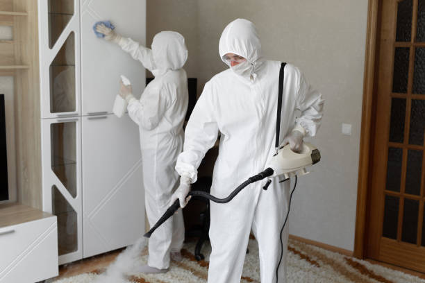Best Health and Safety Mold Remediation in Rancho Cumonga, CA