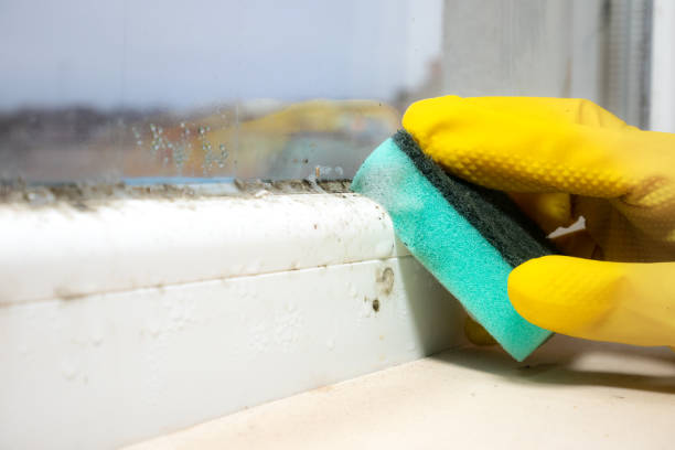 Rancho Cucamonga, CA Mold Remediation Company