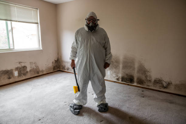 Best Mold Remediation for Specific Building Types in Rancho Cumonga, CA